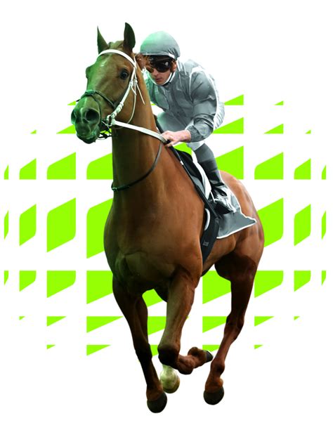 harness racing odds